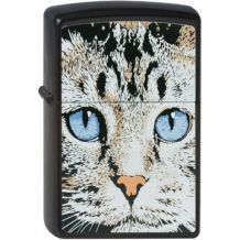 images/productimages/small/Zippo Catss Face 2001490.jpg